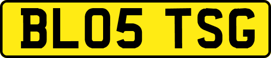 BL05TSG