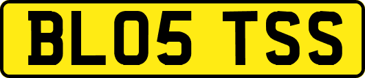 BL05TSS