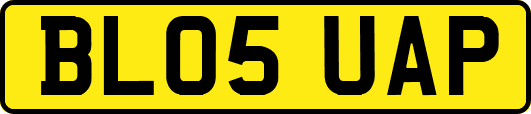 BL05UAP