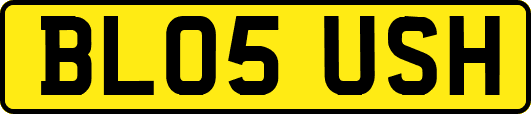 BL05USH