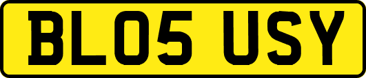 BL05USY