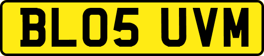 BL05UVM