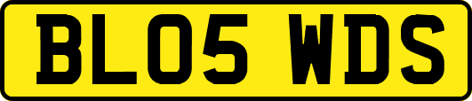 BL05WDS