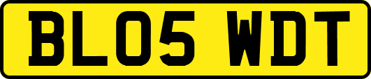 BL05WDT