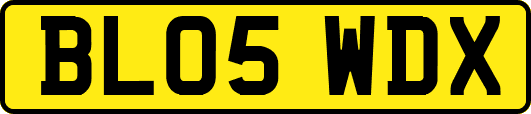 BL05WDX