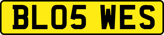 BL05WES