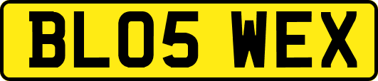 BL05WEX
