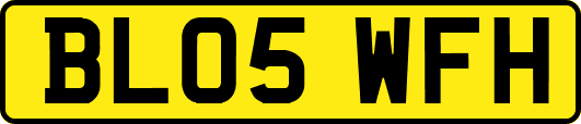 BL05WFH