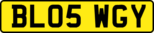 BL05WGY