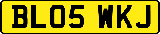 BL05WKJ
