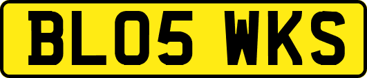 BL05WKS