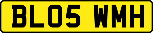 BL05WMH