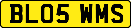 BL05WMS