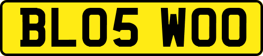BL05WOO