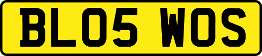 BL05WOS