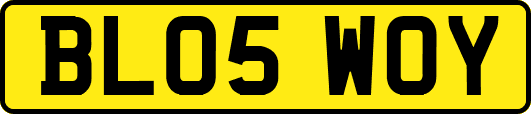 BL05WOY