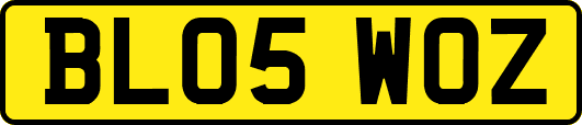 BL05WOZ