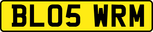 BL05WRM