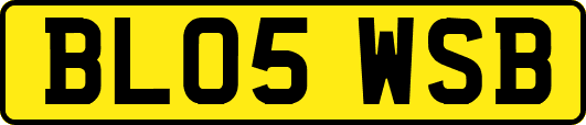 BL05WSB