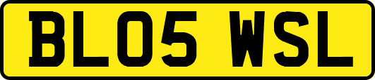 BL05WSL