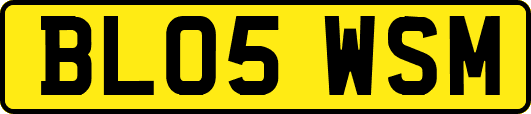BL05WSM