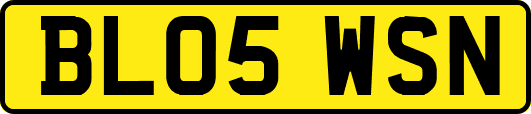BL05WSN