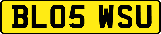 BL05WSU