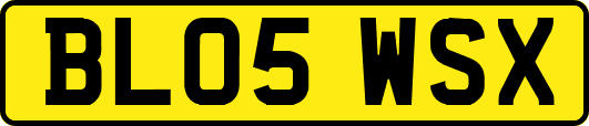 BL05WSX