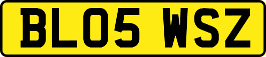 BL05WSZ