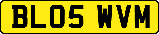 BL05WVM