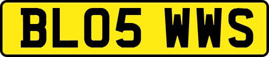 BL05WWS