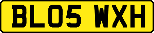 BL05WXH
