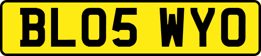 BL05WYO