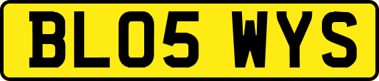 BL05WYS
