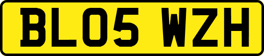 BL05WZH