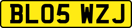 BL05WZJ