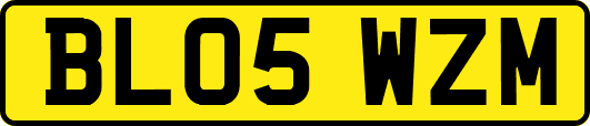 BL05WZM