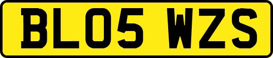 BL05WZS