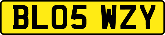 BL05WZY