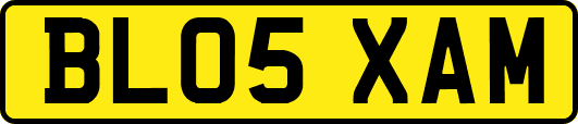 BL05XAM