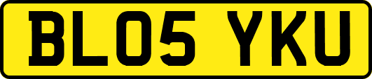 BL05YKU