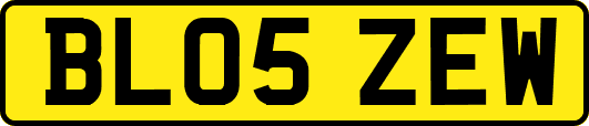 BL05ZEW
