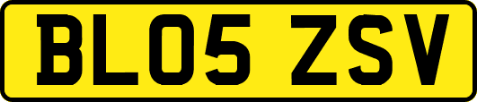 BL05ZSV