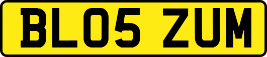 BL05ZUM