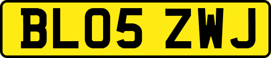 BL05ZWJ