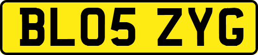 BL05ZYG