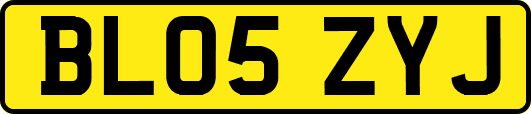 BL05ZYJ