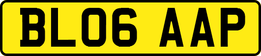 BL06AAP