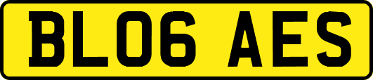 BL06AES