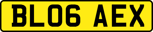 BL06AEX